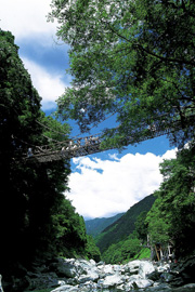祖谷のかずら橋