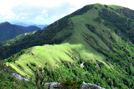 剣山